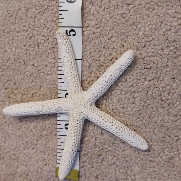 Star fish and sea shell tea light holder - Picture 3 of 8